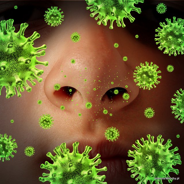 Alergia – pyłki unoszące się wokół nosa